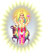 కుజదోషం ఉన్నవాళ్ళని ...