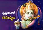 కృష్ణ  మురళీ రహస్యం...
