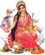 గుడ్లగూబ లక్ష్మీదేవి...