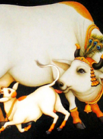 ధర్మం పైకి వస్తుంది...