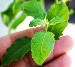 భక్తి, ముక్తి, శక్తి...