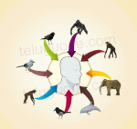 మనతోటి ప్రాణుల నుండి...