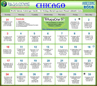 Chicago Telugu Calendar 2008