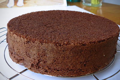 Quick Chocolate Sponge Cake