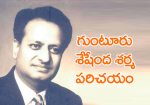 గుంటూరు శేషేంద శర్మ  పరిచయం