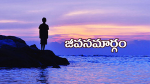జీవనమార్గం
