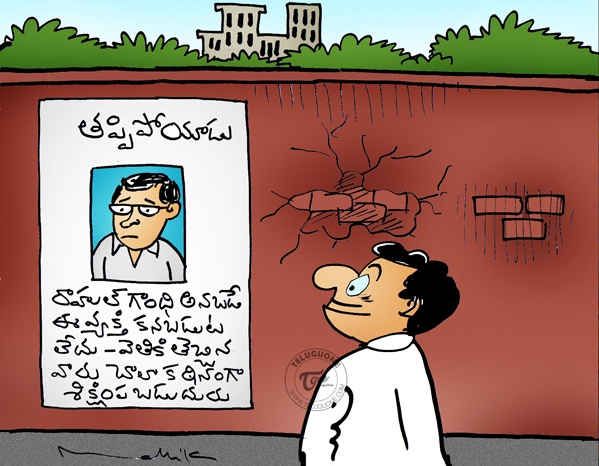 mallik cartoon
