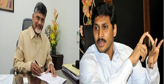 CM Chandrababu Naidu