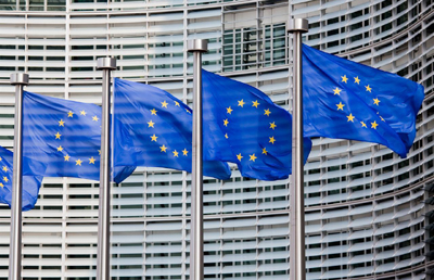 european parliament about isis