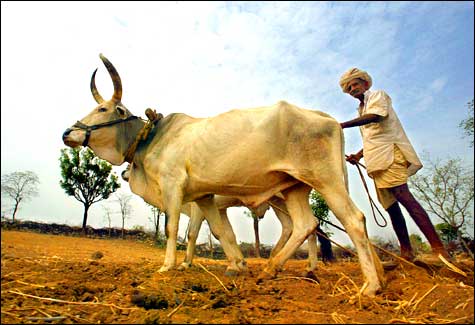 అన్నదాతలు బాగుంటే అందరూ బాగున్నట్లే 