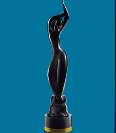 Filmfare Awards 2014 nominations list 