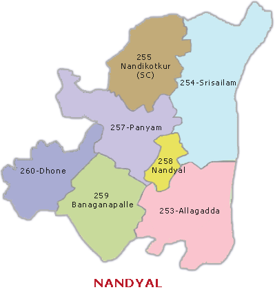 kurnool district nandyala town bandh municipal councle bhuma nagi reddy tdp ycp