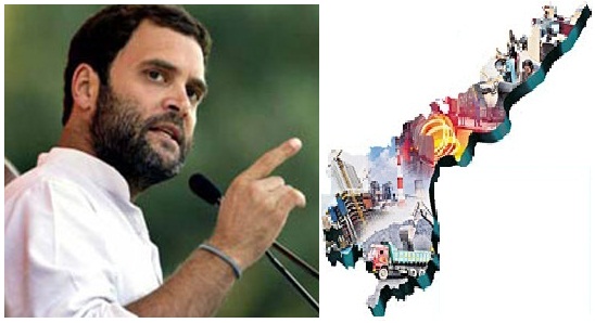 Congress Vice President