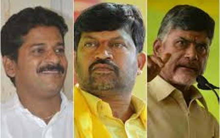 tdp committees