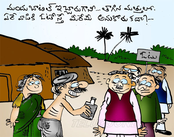 ap assembly elections 2014