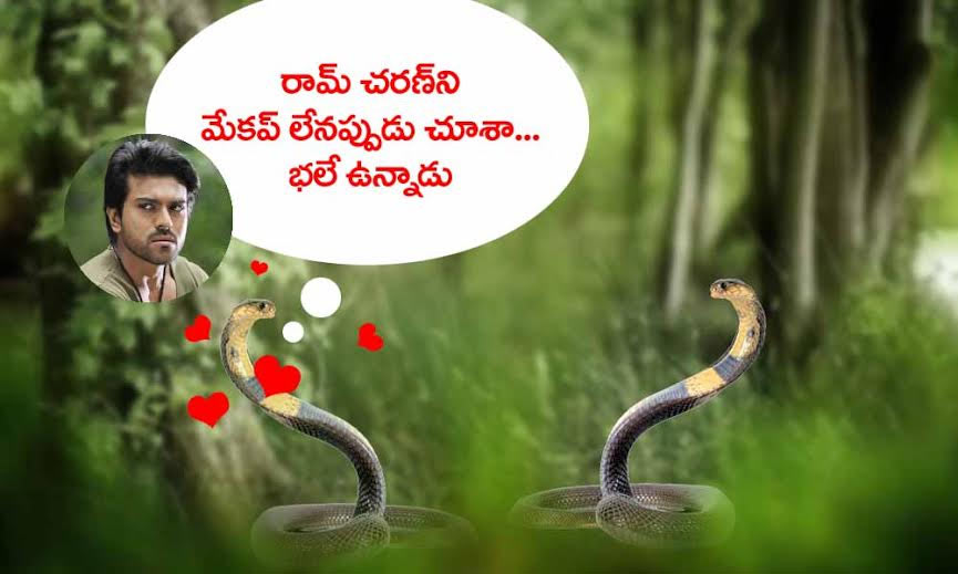 nake at Ram Charan house