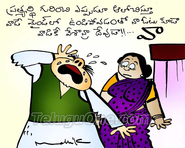  seemandhra elections
