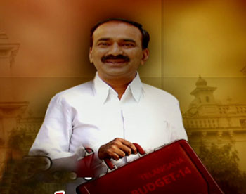 Telangana budget Debate