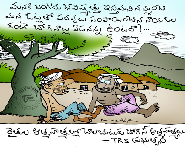 t govt farmer suicides