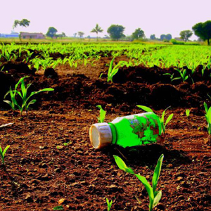 telangana cotton farmer suicide nalgonda district