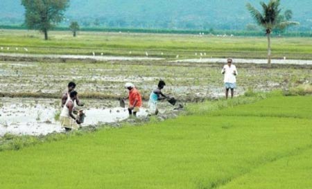 Check your family loan waiver status here