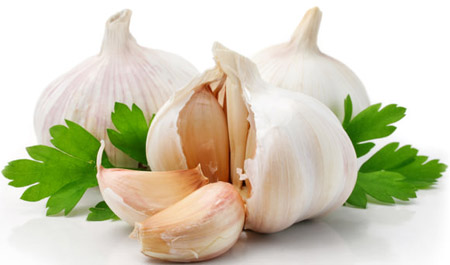 Garlic uses