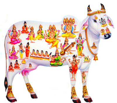 About Gomatha, Why Praise Gomatha, Why Do Gomatha Pooja, Reason Behind Gomatha Pooja 