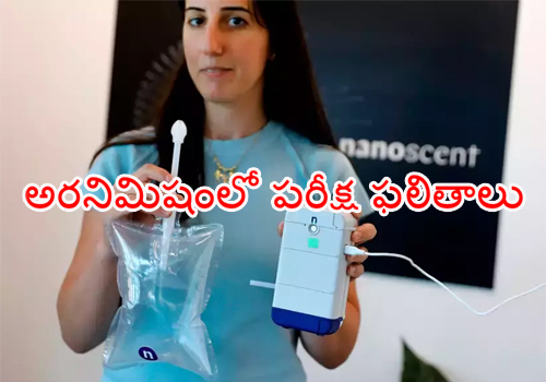 Coronavirus test results in 30 seconds