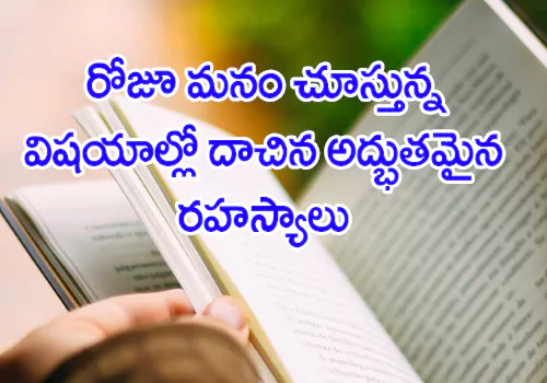 4 Amazing Secrets Hidden In Everyday Things