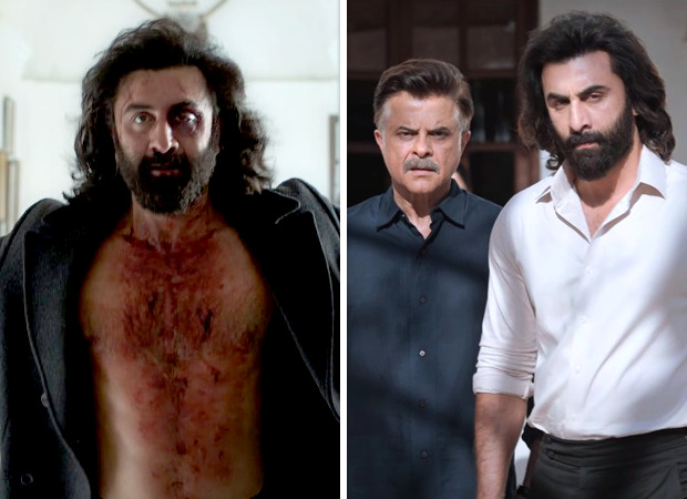 Animal Trailer is filled with love, violence and emotions