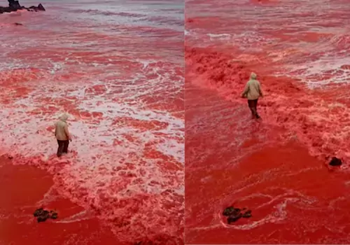 What is the reason for the blood rain in Iran?