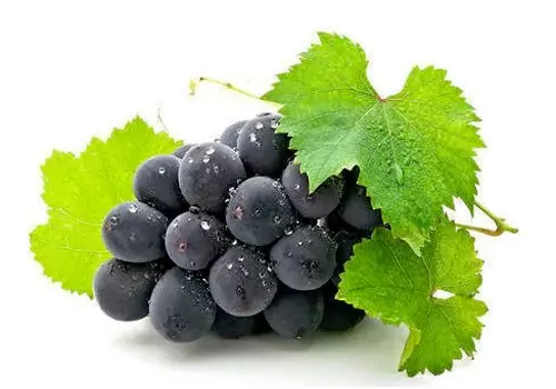 health benefits of eating Black Grapes