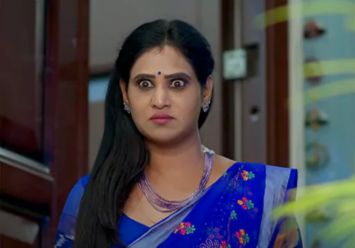 Brahma Mudi Episode 733
