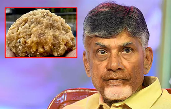 laddu issue chandrababu