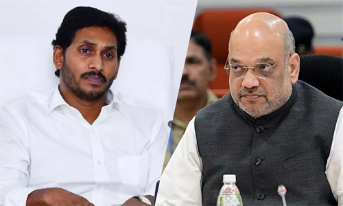 Andhra CM meets Amit Shah