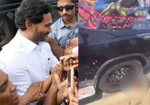 Roddu Singaya