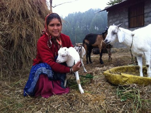 Animals Are Legal Persons