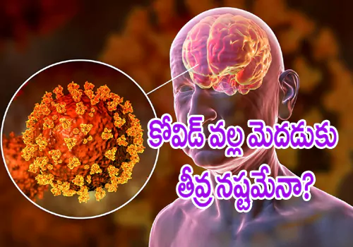 Covid 19 effect leads to neuro defects