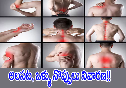 Fatigue and Body Pain Prevention