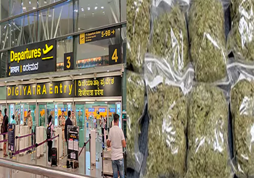 అంతర్జాతీయ విమానాశ్రయాల్లో 62 కోట్ల గంజాయి పట్టివేత