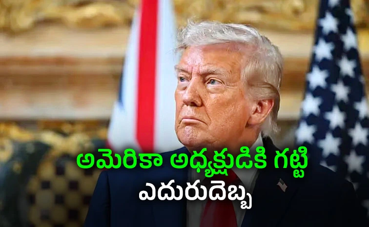 ట్రంప్‌కు గట్టి షాక్: గ్రీన్ కార్డ్ నిలిపివేత చట్టవిరుద్ధమన్న యూఎస్ కోర్టు!