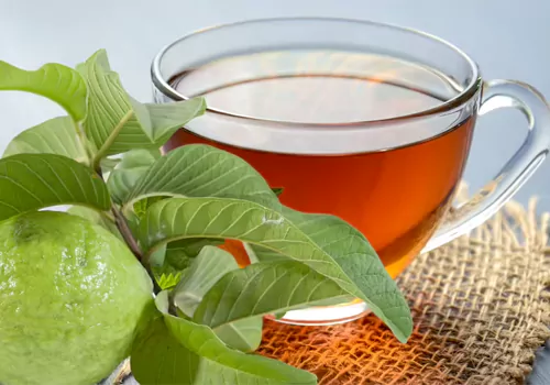 health benefits of Guava Tea