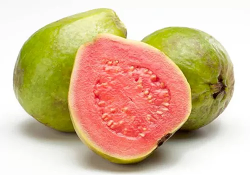 Guava Uses and Side Effects