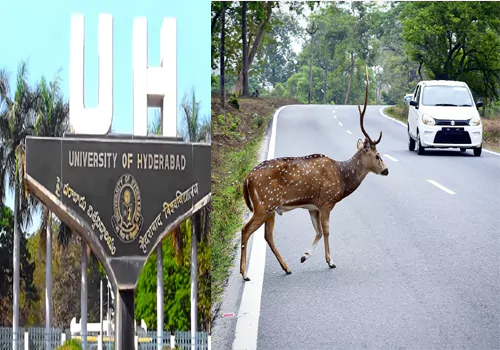 Hyderabad Central University