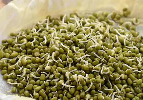Health Benefits of Moong Sprouts