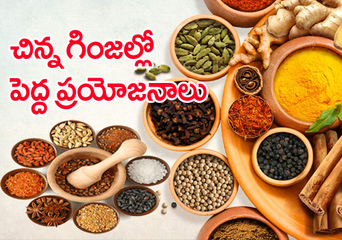 High Antioxidant Foods You Must Eat Regularly