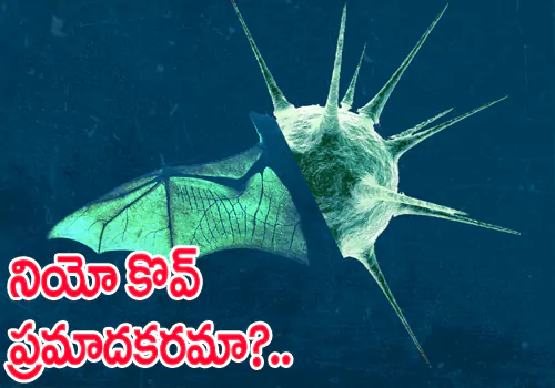 Is the new variant of the Corona Neo Cov dangerous