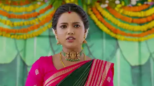 Jayam serial:పెద్దసారు ప్రాణాల మీదకు తెచ్చిన వీరు.. రుద్ర కాపాడగలడా?