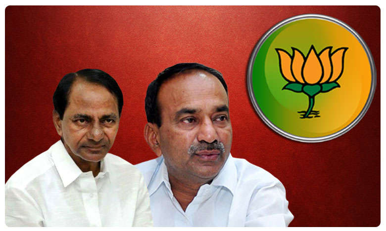 Political equations in huzurabad consistency