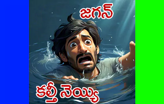 laddu issue chandrababu